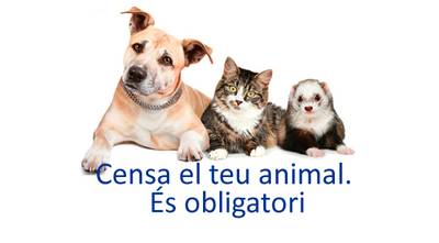 Saps com?