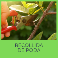  La recollida de poda